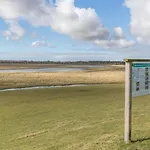 Kiebitz * Tönning